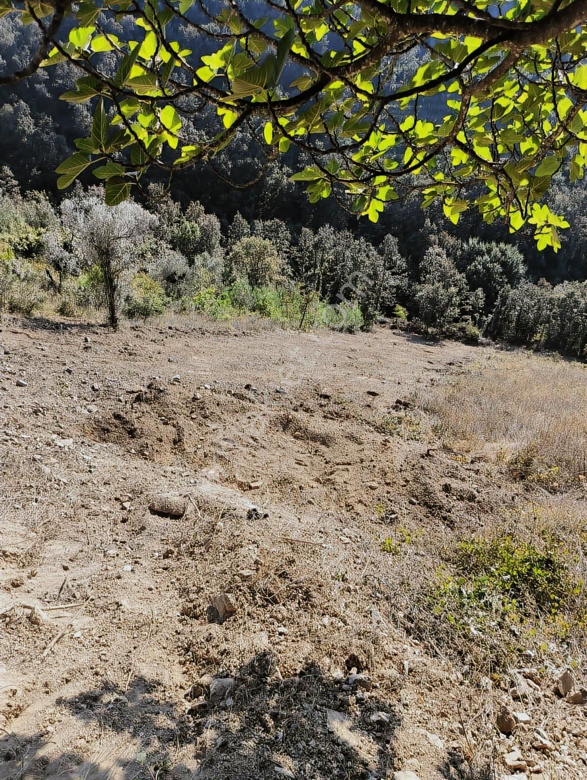Karamürsel Çamdibi'nde Ev Yapımına Uygun Asfalta Sıfır Arazi - Görsel 10