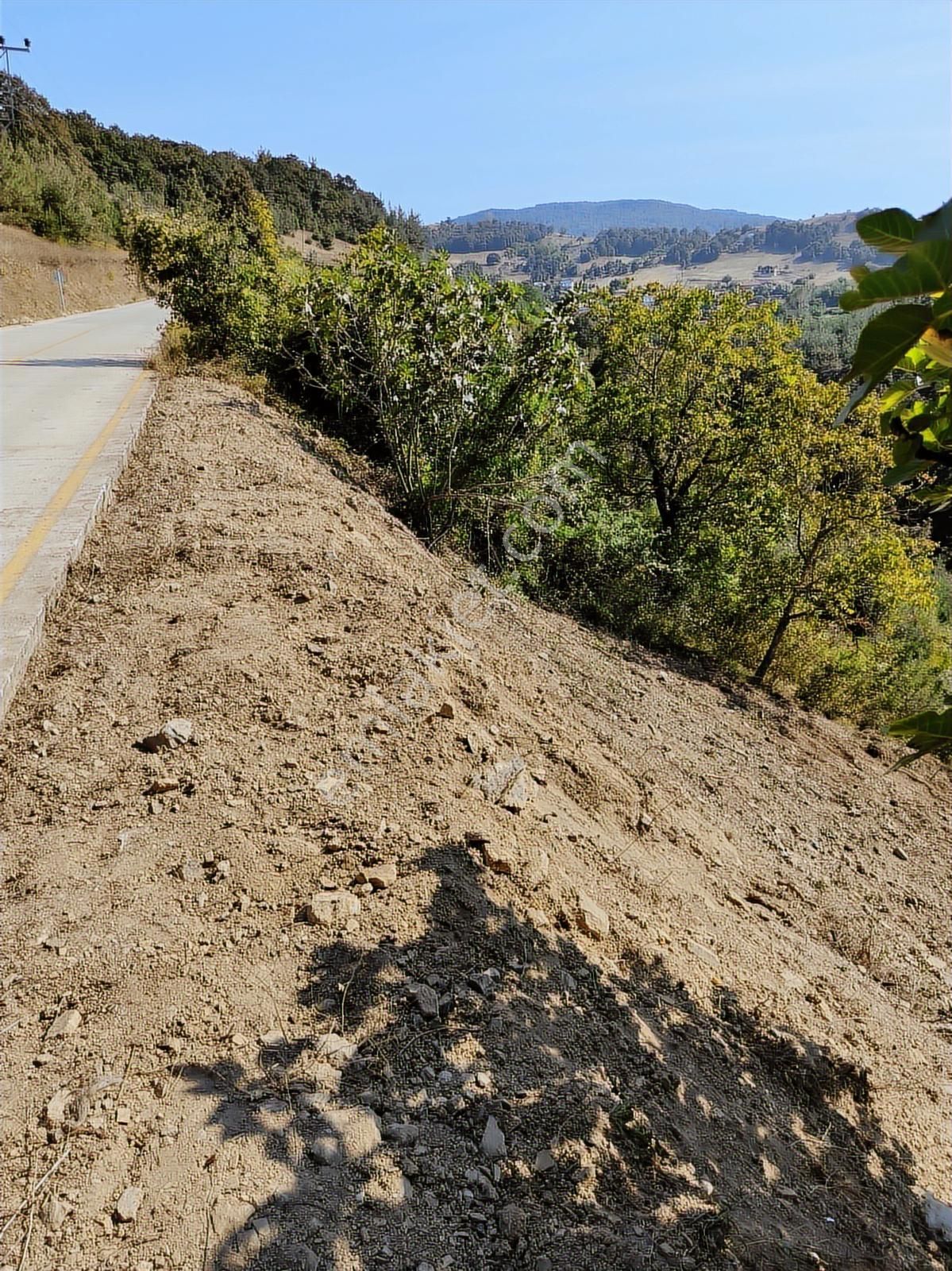 Karamürsel Çamdibi'nde Ev Yapımına Uygun Asfalta Sıfır Arazi - Görsel 9