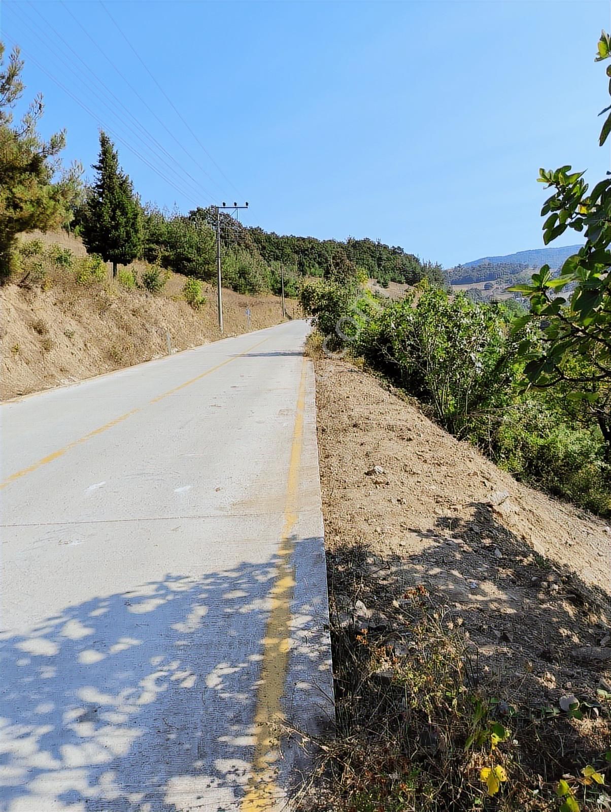 Karamürsel Çamdibi'nde Ev Yapımına Uygun Asfalta Sıfır Arazi - Görsel 6