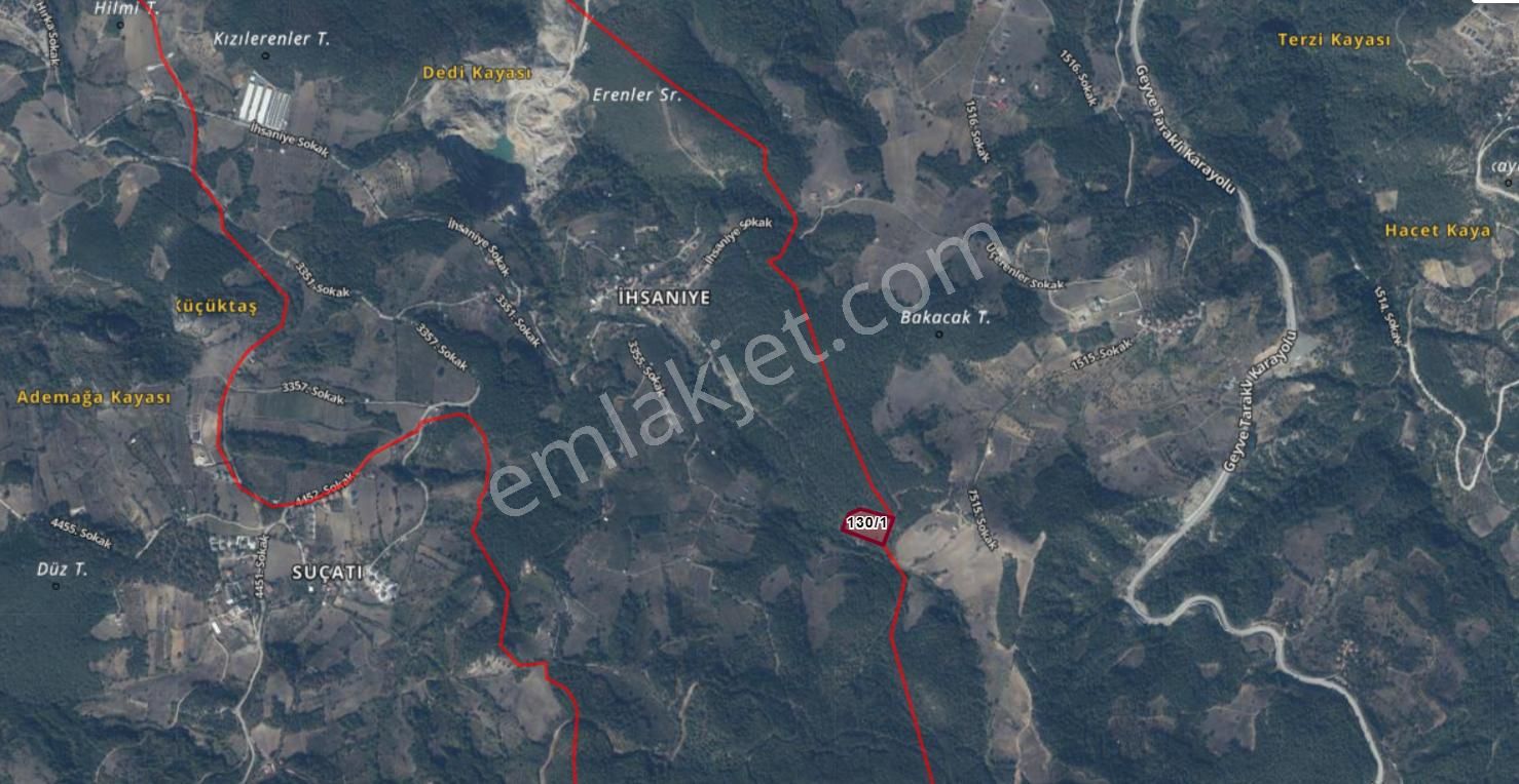 Geyve İhsaniye Mahallesinde 9 Dönüm Satılık Fırsat Fındıklık - Görsel 2