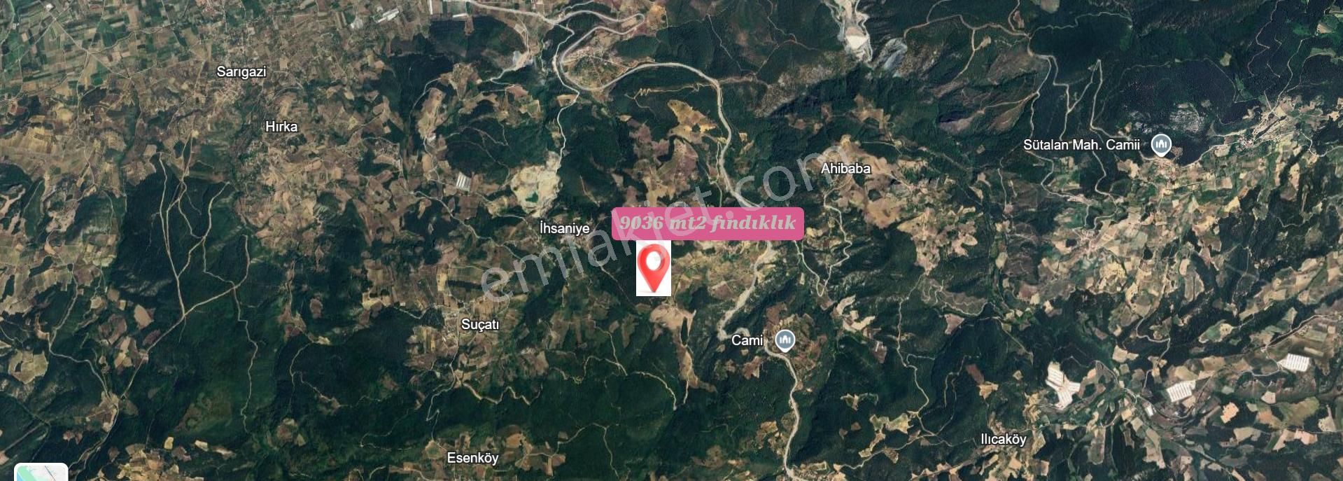 Geyve İhsaniye Mahallesinde 9 Dönüm Satılık Fırsat Fındıklık - Görsel 6