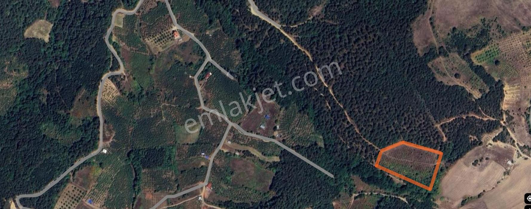 Geyve İhsaniye Mahallesinde 9 Dönüm Satılık Fırsat Fındıklık - Görsel 3