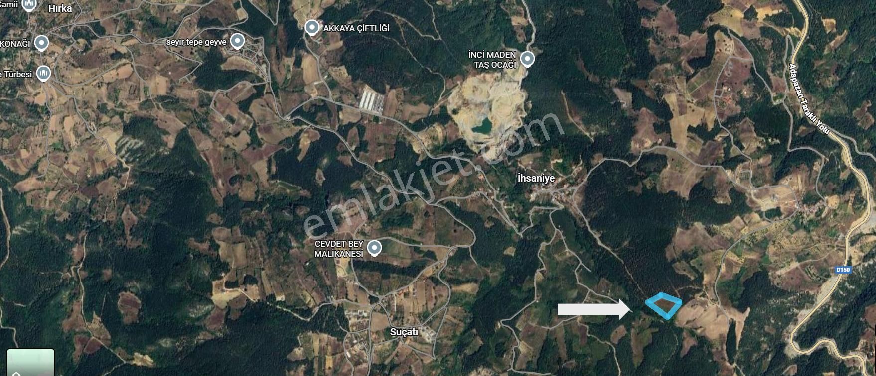 Geyve İhsaniye Mahallesinde 9 Dönüm Satılık Fırsat Fındıklık - Görsel 5