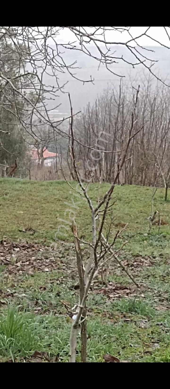 Bursa Yenişehir Kavaklı Mah. Atsan Niteliğinde - Görsel 9