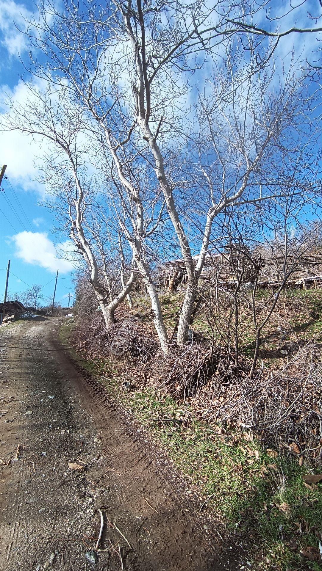 Wisrem Burdur'da Satılık 1.783 M² Arsa Ve Köy Evi - Görsel 11