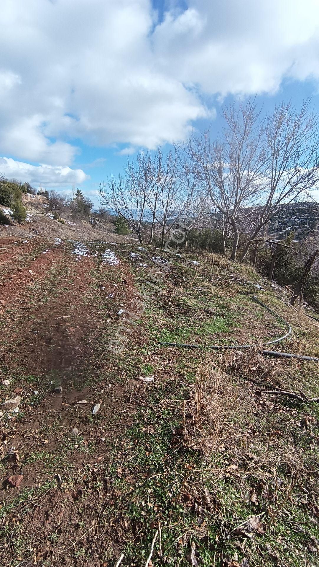 Wisrem Burdur'da Satılık 1.783 M² Arsa Ve Köy Evi - Görsel 23