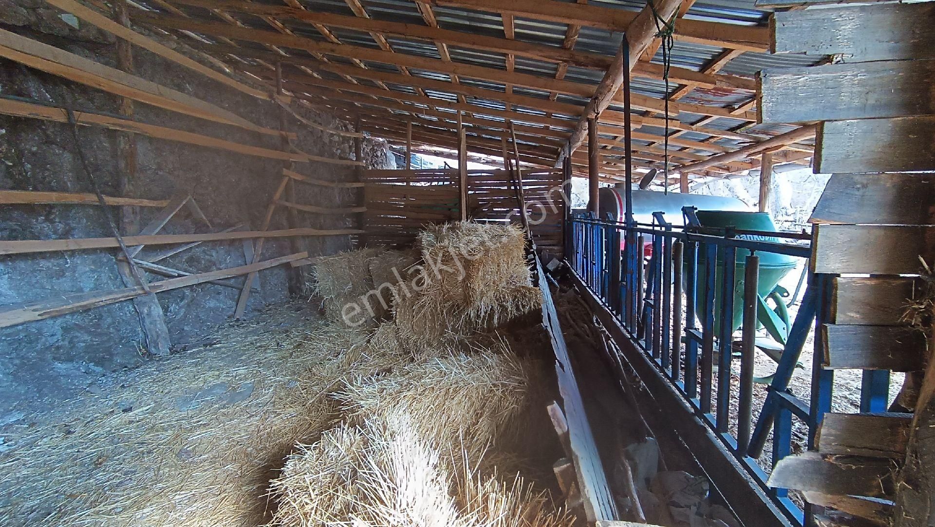 Wisrem Burdur'da Satılık 1.783 M² Arsa Ve Köy Evi - Görsel 7