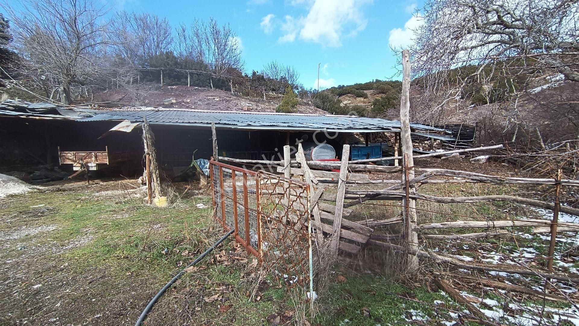 Wisrem Burdur'da Satılık 1.783 M² Arsa Ve Köy Evi - Görsel 10