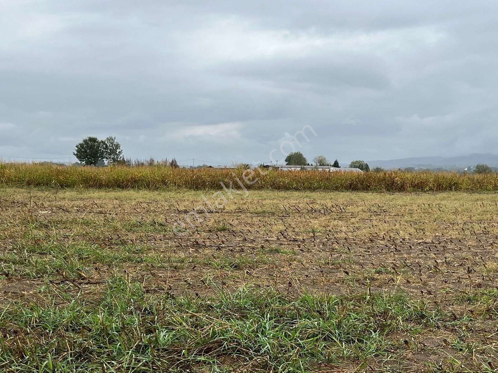 Sakarya Söğütlü Akçakamış'ta 18.901m2 Çiftlik Yapımına Uygun - Görsel 24