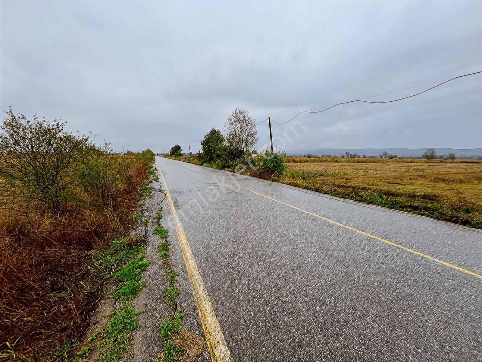 Sakarya Söğütlü Akçakamış'ta 18.901m2 Çiftlik Yapımına Uygun - Görsel 3