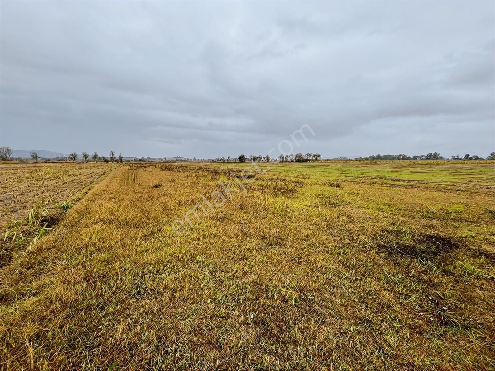 Sakarya Söğütlü Akçakamış'ta 18.901m2 Çiftlik Yapımına Uygun - Görsel 16