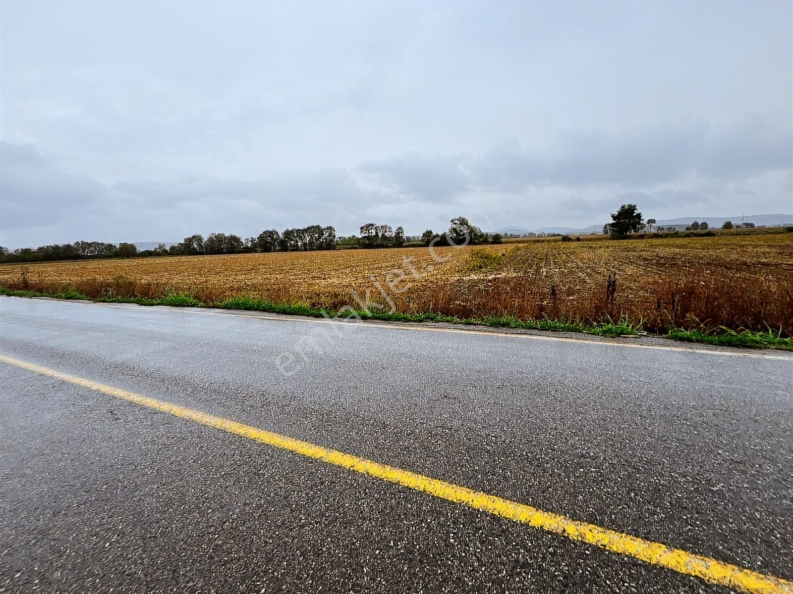 Sakarya Söğütlü Akçakamış'ta 18.901m2 Çiftlik Yapımına Uygun - Görsel 4