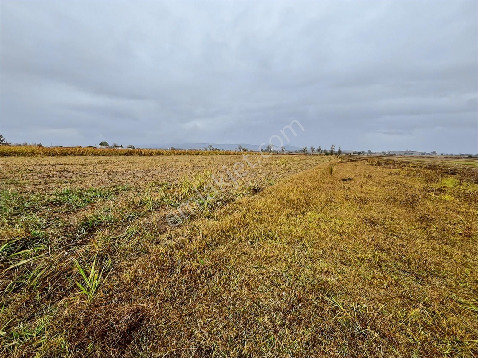 Sakarya Söğütlü Akçakamış'ta 18.901m2 Çiftlik Yapımına Uygun - Görsel 23