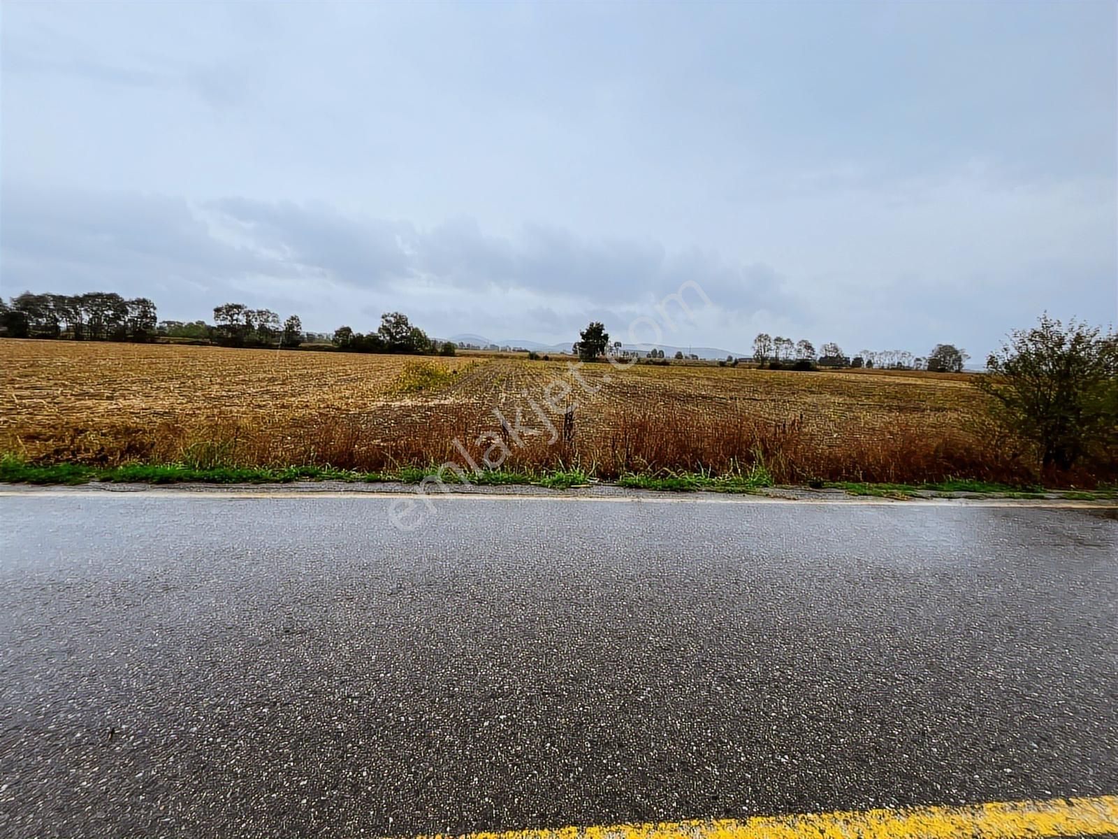 Sakarya Söğütlü Akçakamış'ta 18.901m2 Çiftlik Yapımına Uygun - Görsel 25