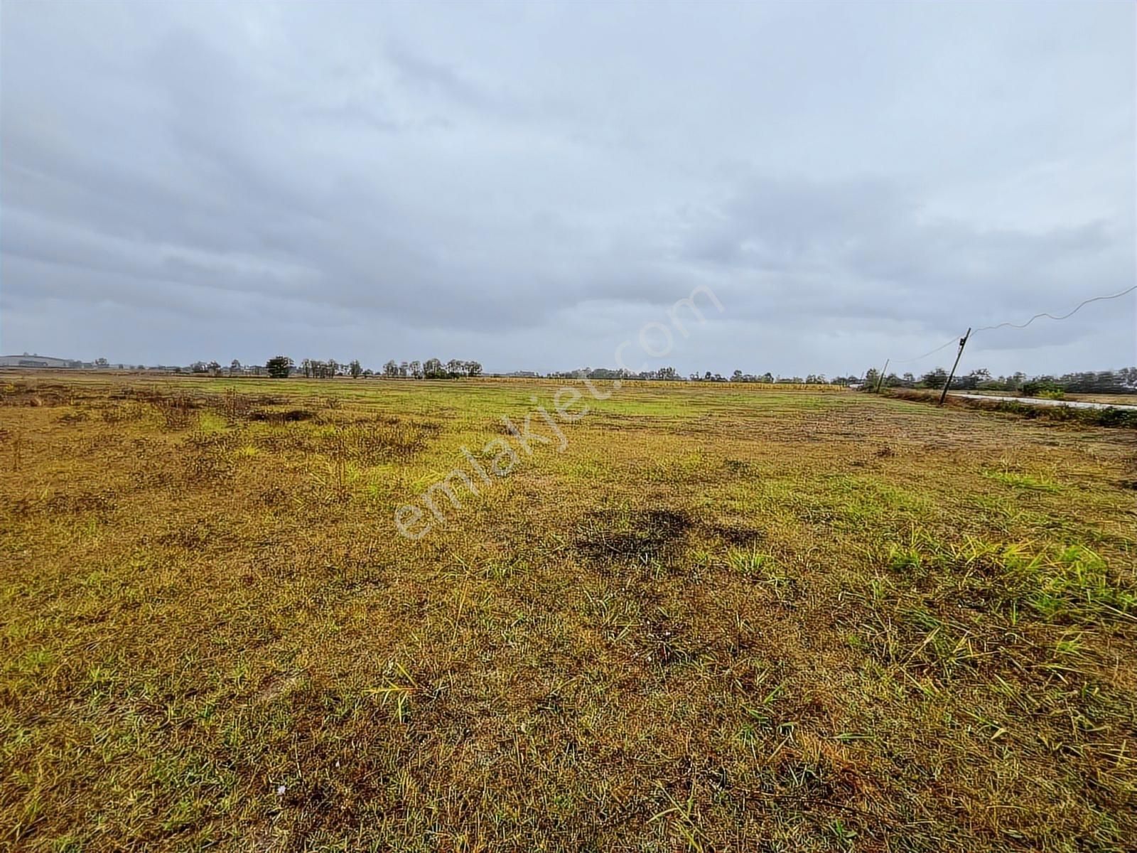 Sakarya Söğütlü Akçakamış'ta 18.901m2 Çiftlik Yapımına Uygun - Görsel 20