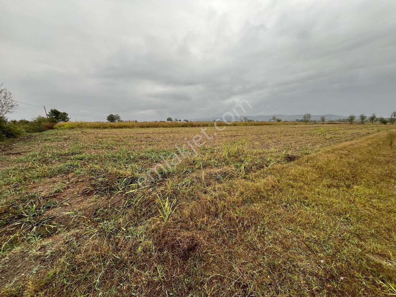 Sakarya Söğütlü Akçakamış'ta 18.901m2 Çiftlik Yapımına Uygun - Görsel 18