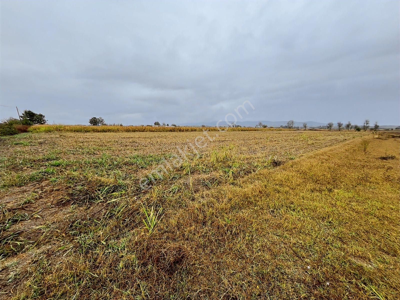 Sakarya Söğütlü Akçakamış'ta 18.901m2 Çiftlik Yapımına Uygun - Görsel 26