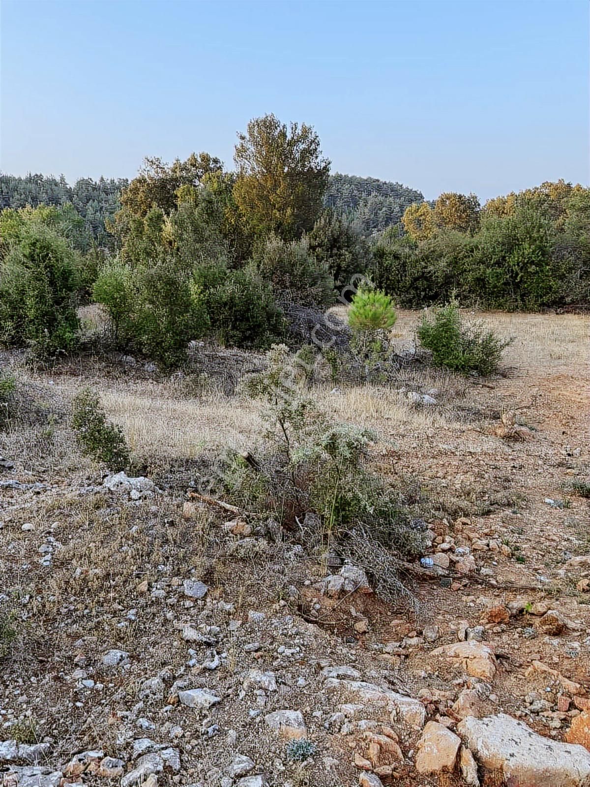 Muğla'da Denize Kıyısı Olan Köyde Arsa - Görsel 9
