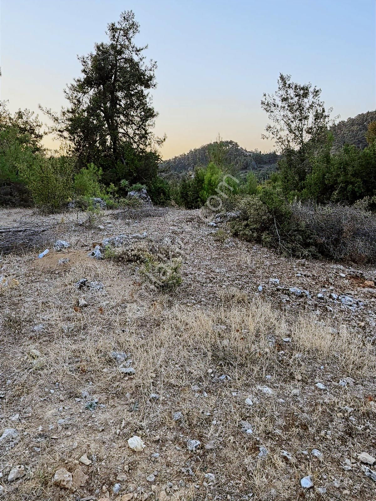 Muğla'da Denize Kıyısı Olan Köyde Arsa - Görsel 7