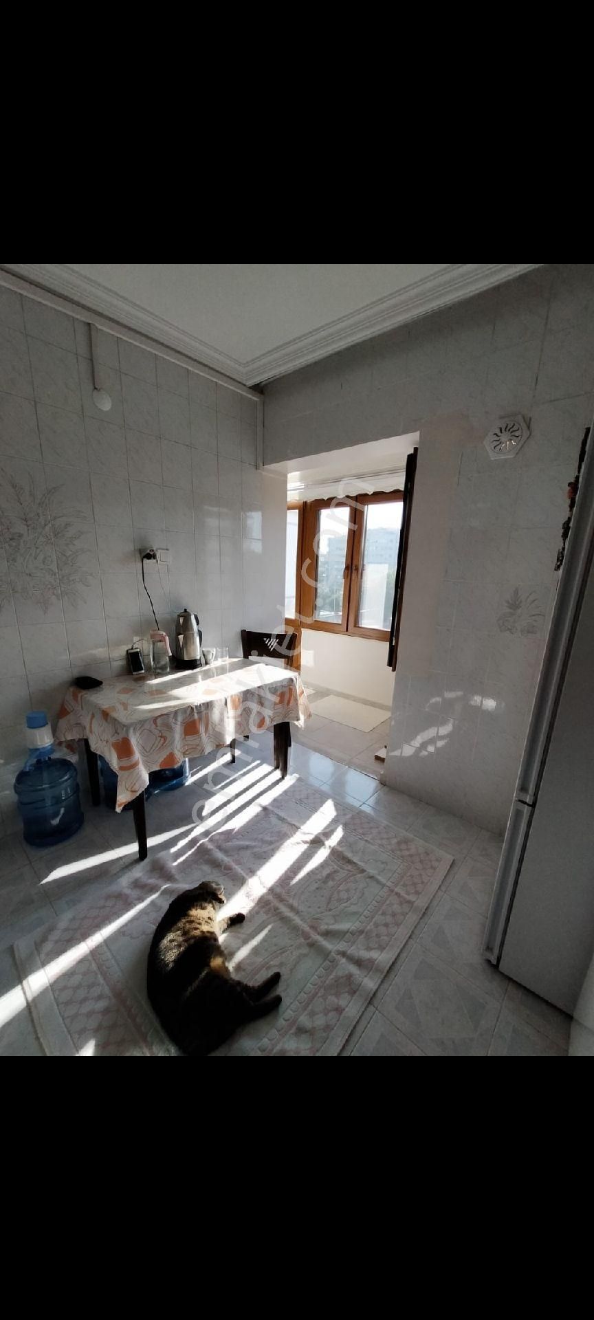 D.gazlı, Asansörlü,kira Getirisi Yüksek,ön Cephesi Tamamen Açık Ferah Daire - Görsel 20