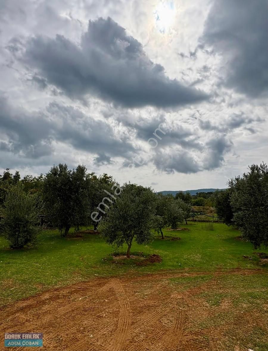 Muğla Menteşe Yerkesik Mah.satılık 6.850 M2 Ceviz Bahçesi - Görsel 4
