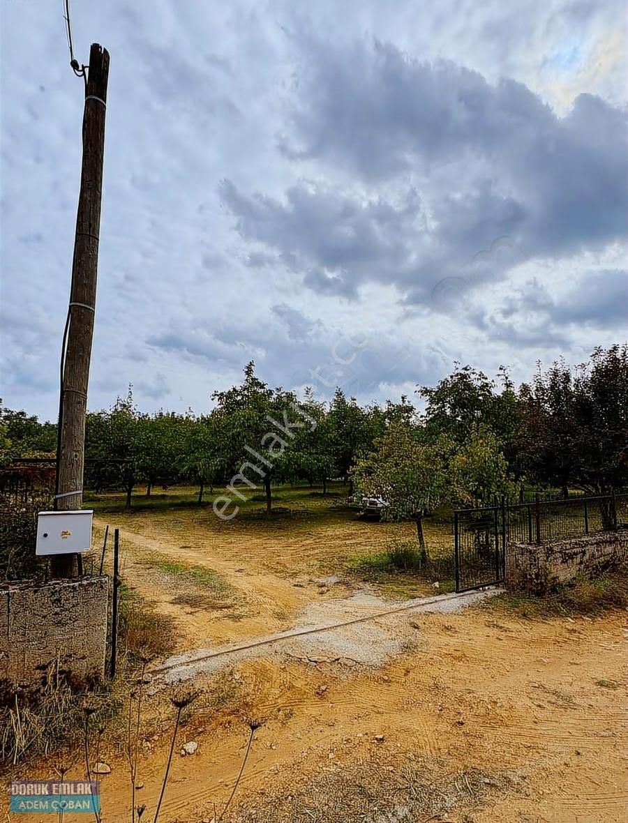 Muğla Menteşe Yerkesik Mah.satılık 6.850 M2 Ceviz Bahçesi - Görsel 18