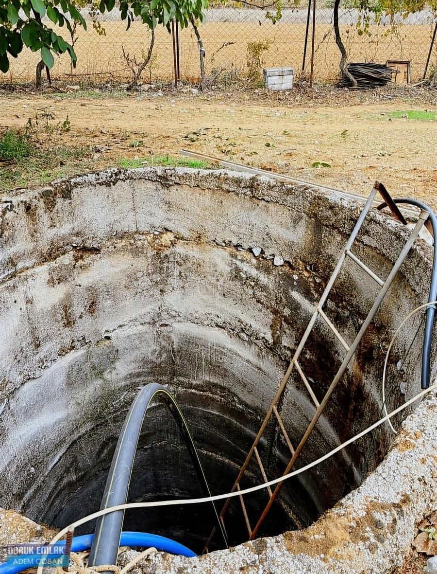 Muğla Menteşe Yerkesik Mah.satılık 6.850 M2 Ceviz Bahçesi - Görsel 3