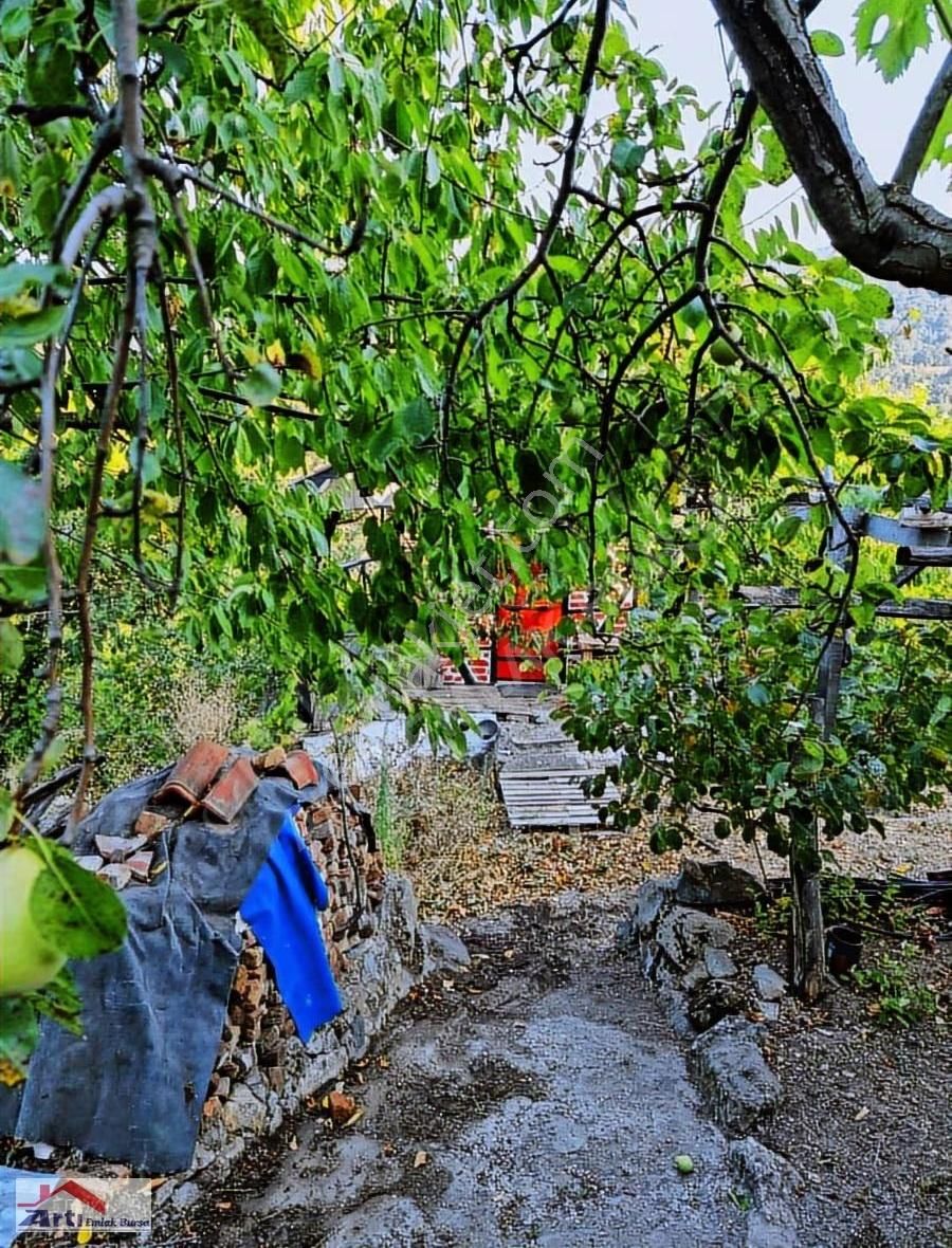 Arti Dan Gemlik Fevziye Köyünde Doğa Manzaralı Ev - Görsel 21