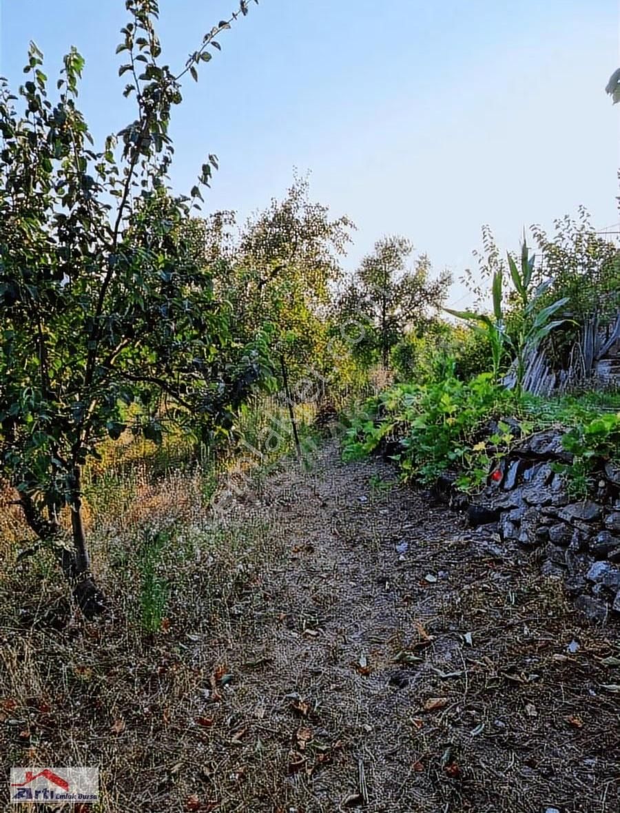 Arti Dan Gemlik Fevziye Köyünde Doğa Manzaralı Ev - Görsel 5