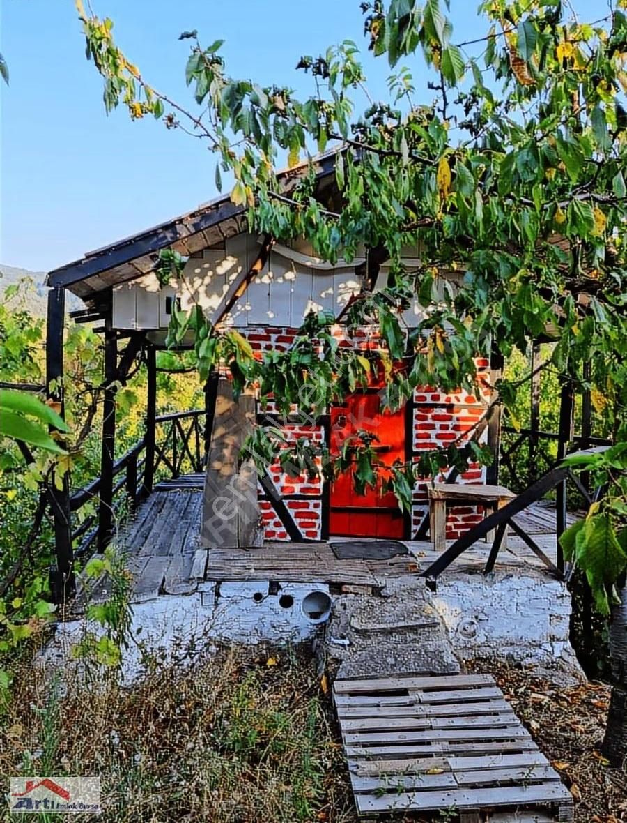 Arti Dan Gemlik Fevziye Köyünde Doğa Manzaralı Ev - Görsel 15