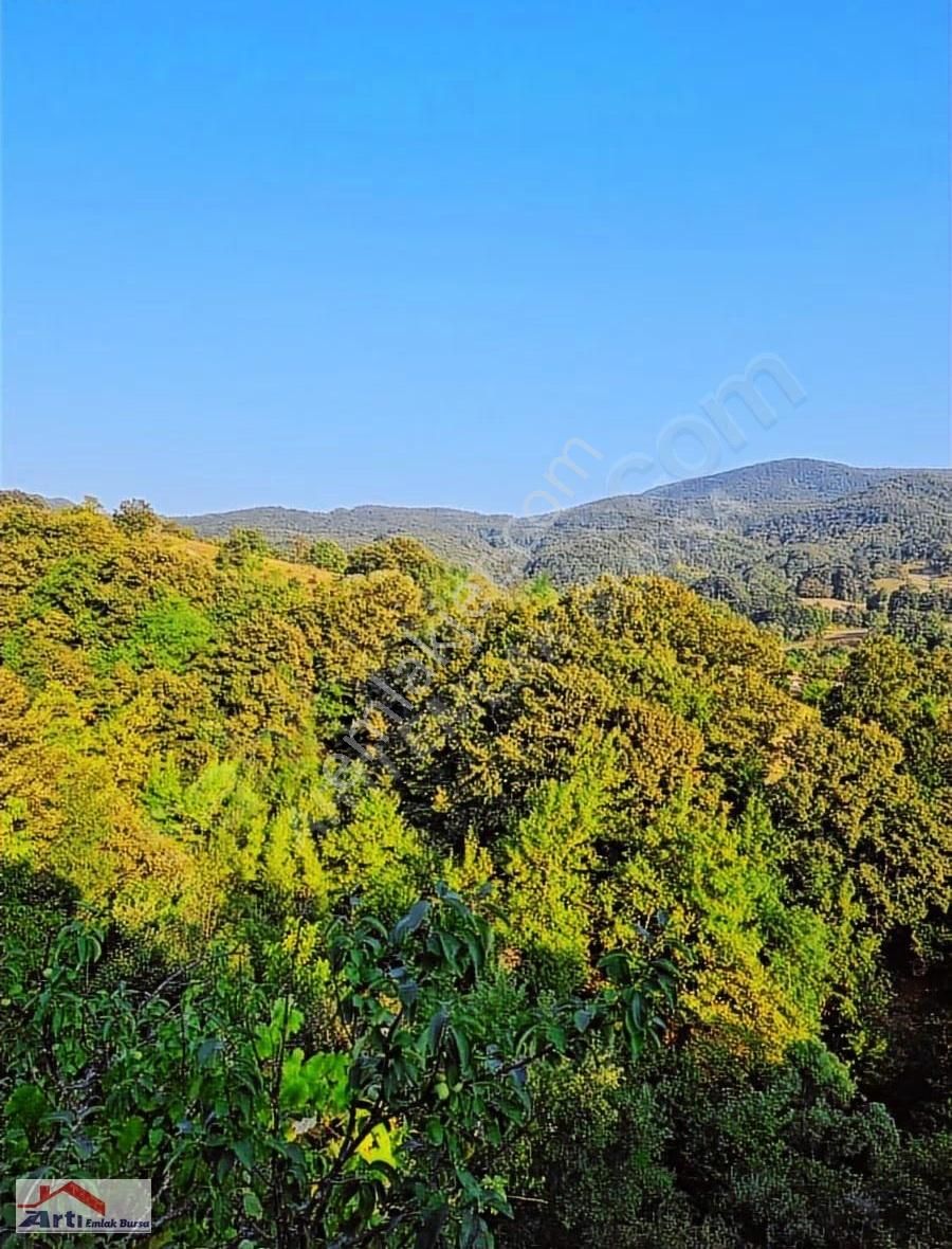 Arti Dan Gemlik Fevziye Köyünde Doğa Manzaralı Ev - Görsel 20