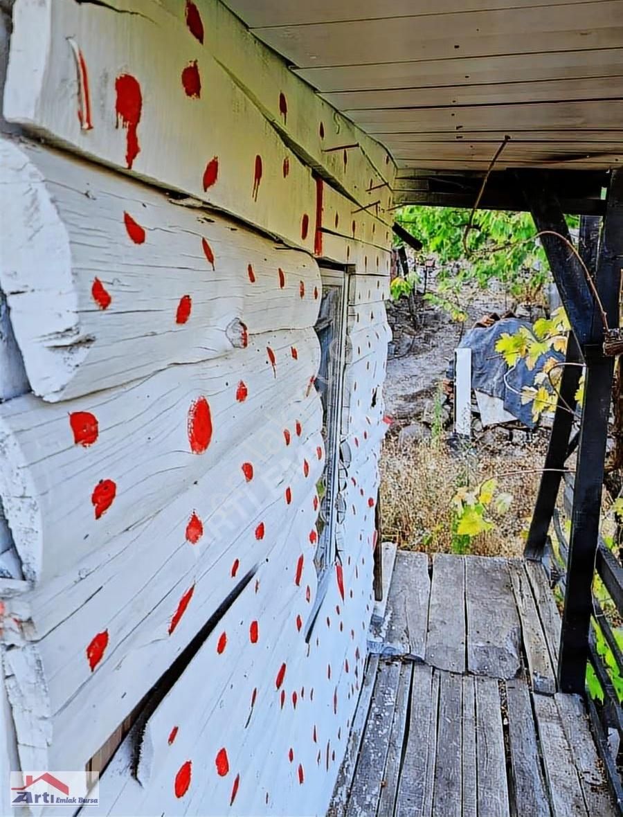 Arti Dan Gemlik Fevziye Köyünde Doğa Manzaralı Ev - Görsel 4