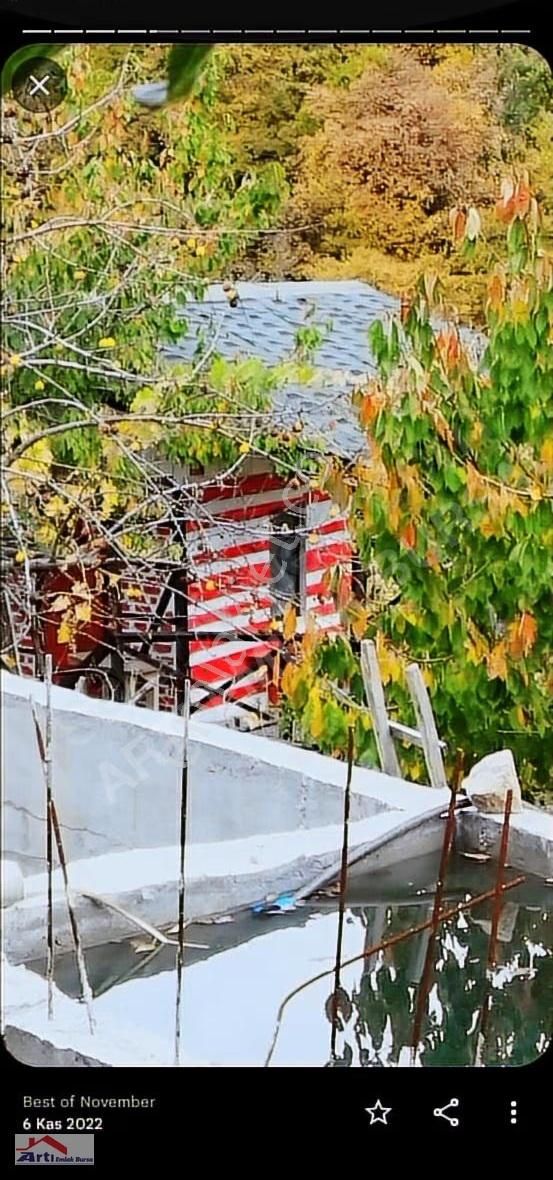 Arti Dan Gemlik Fevziye Köyünde Doğa Manzaralı Ev - Görsel 25