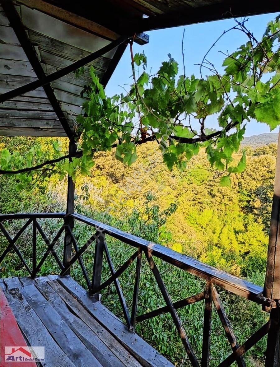 Arti Dan Gemlik Fevziye Köyünde Doğa Manzaralı Ev - Görsel 26