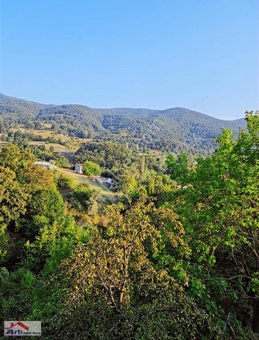 Arti Dan Gemlik Fevziye Köyünde Doğa Manzaralı Ev - Görsel 9