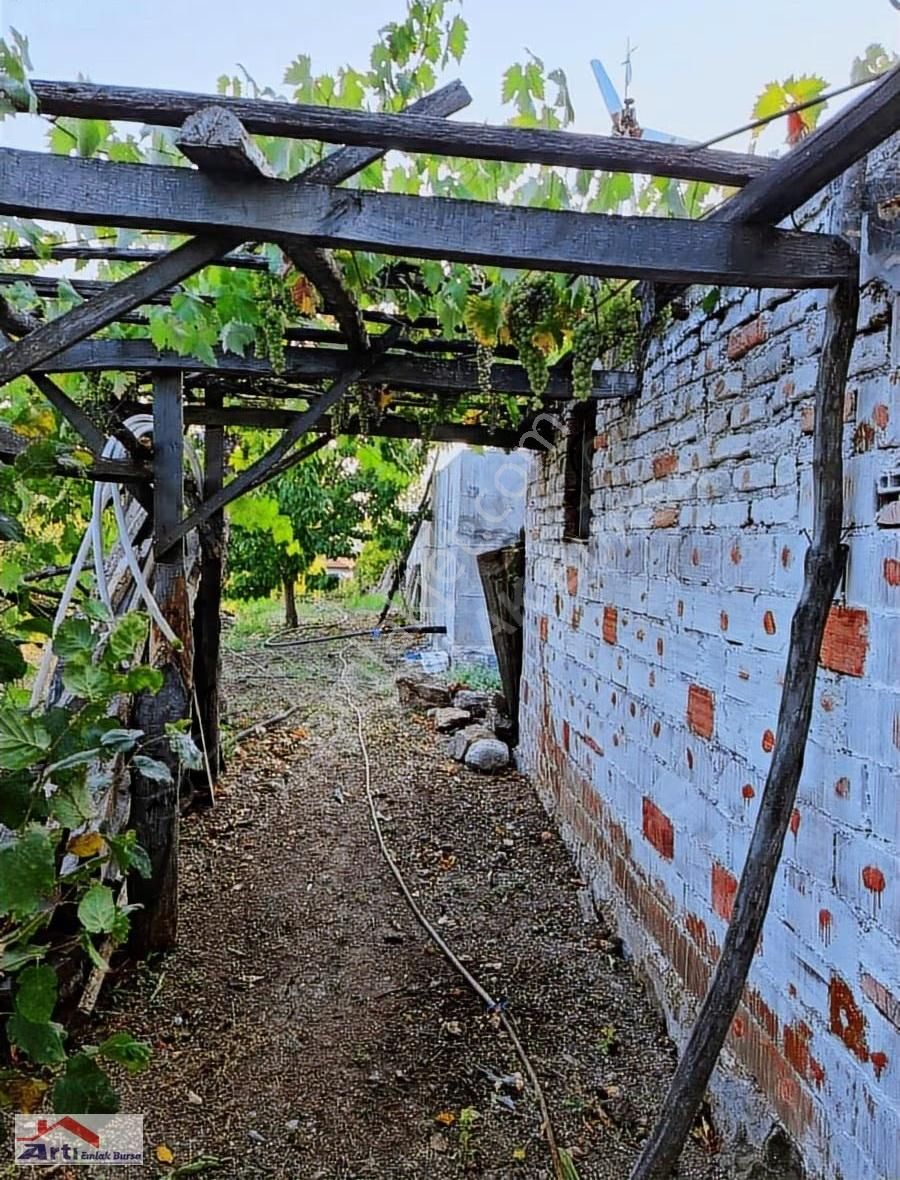 Arti Dan Gemlik Fevziye Köyünde Doğa Manzaralı Ev - Görsel 27