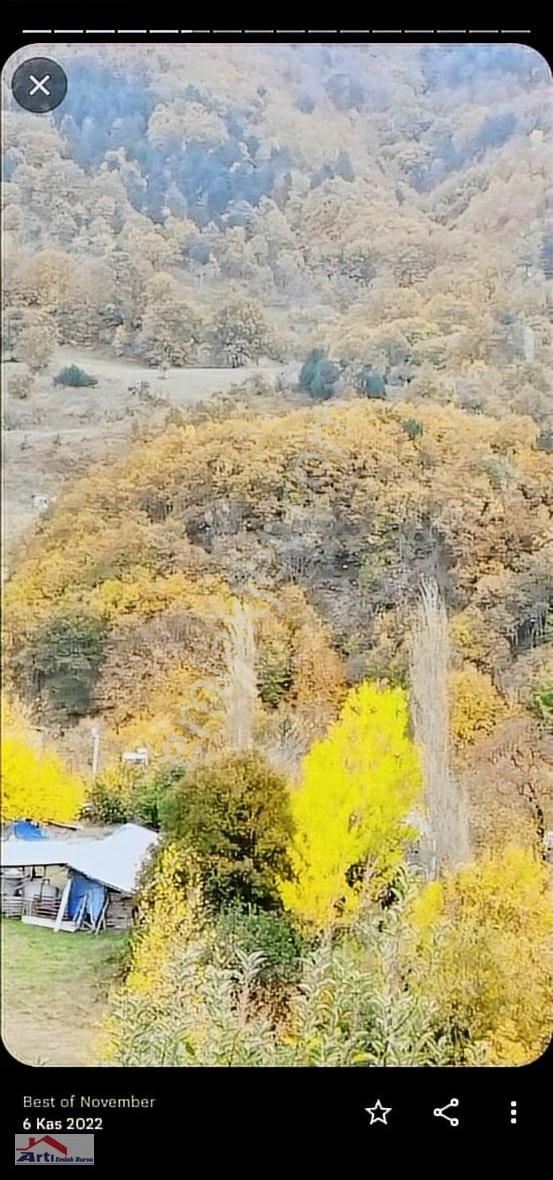 Arti Dan Gemlik Fevziye Köyünde Doğa Manzaralı Ev - Görsel 18