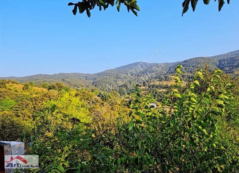 Arti Dan Gemlik Fevziye Köyünde Doğa Manzaralı Ev - Görsel 19