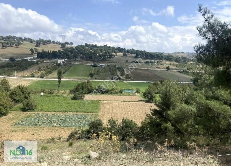 No16'dan Yenişehir Kozdere Köyünde Manzaralı 1600m2 Arazi - Görsel 4