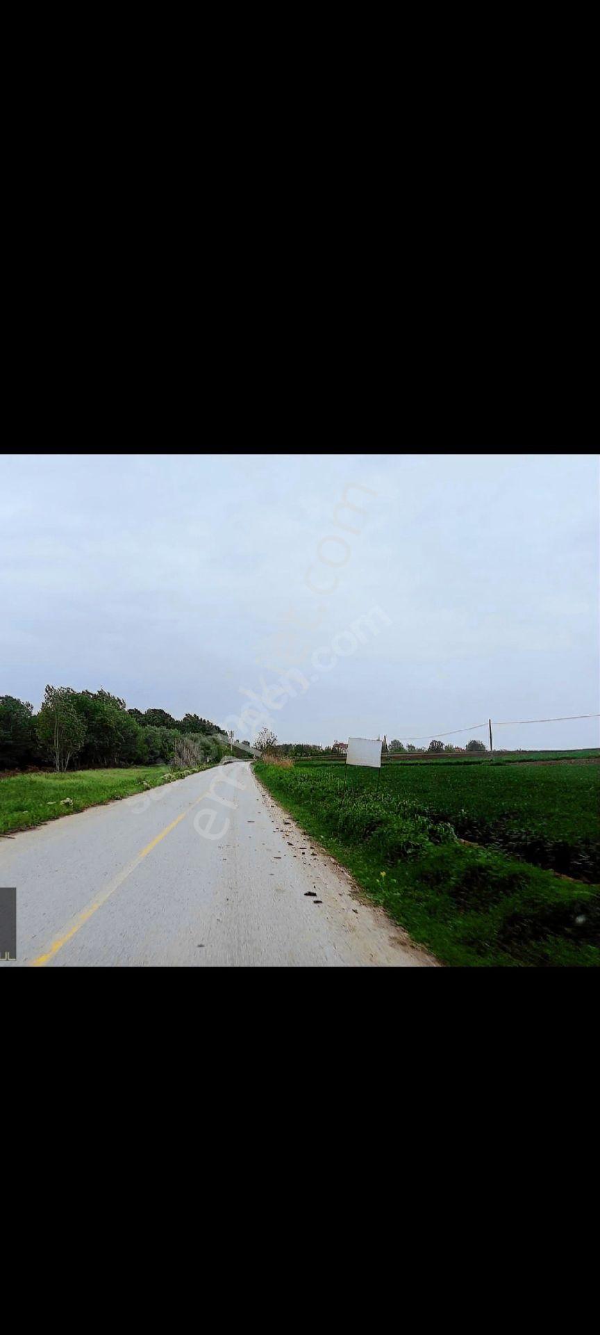 Sahibinden Tekirdağ Ergene Pınarbaşı Köyünde Tek Tapulu Müstakil Yer - Görsel 5