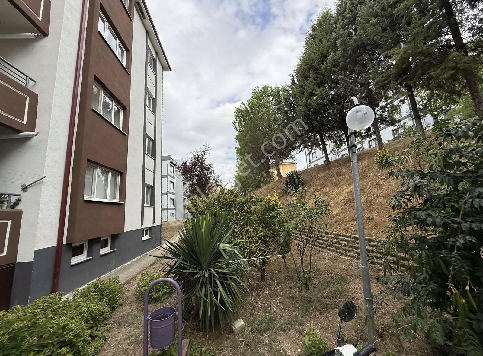 Korucuk Merkez Bim Market Arkası Satılık 3+1 Daire - Görsel 5