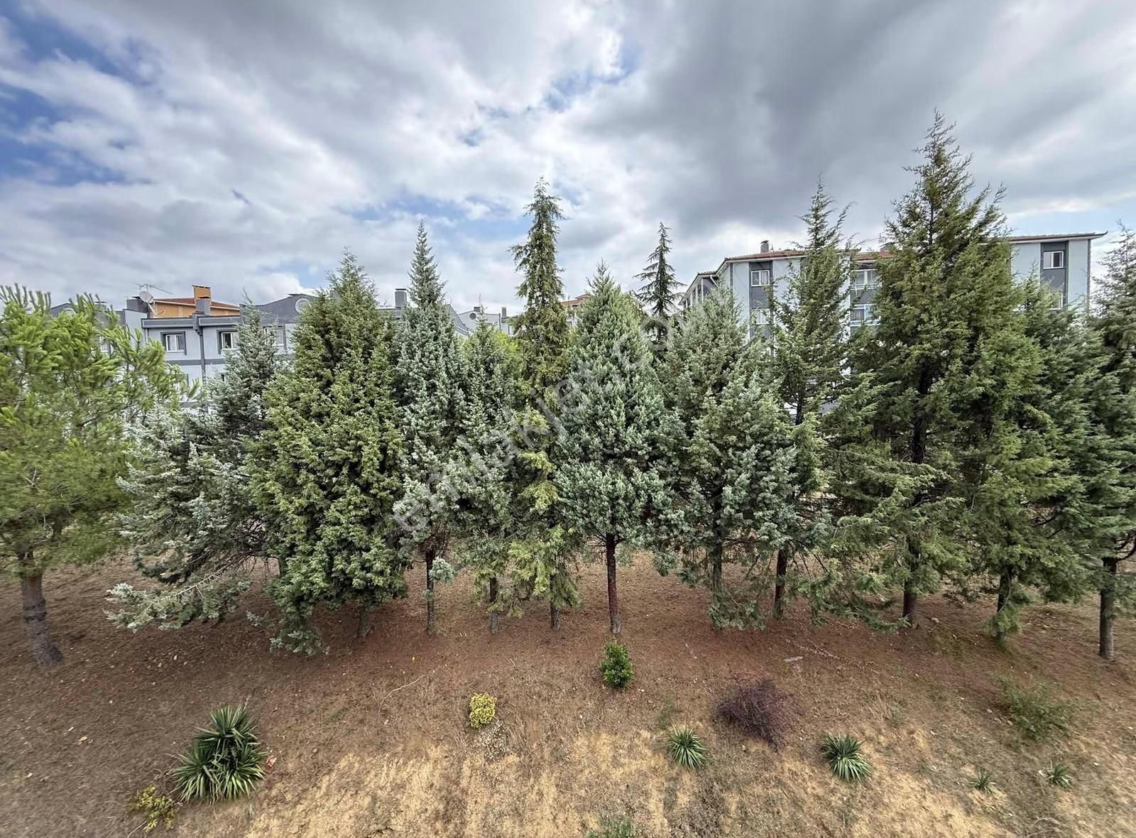 Korucuk Merkez Bim Market Arkası Satılık 3+1 Daire - Görsel 29