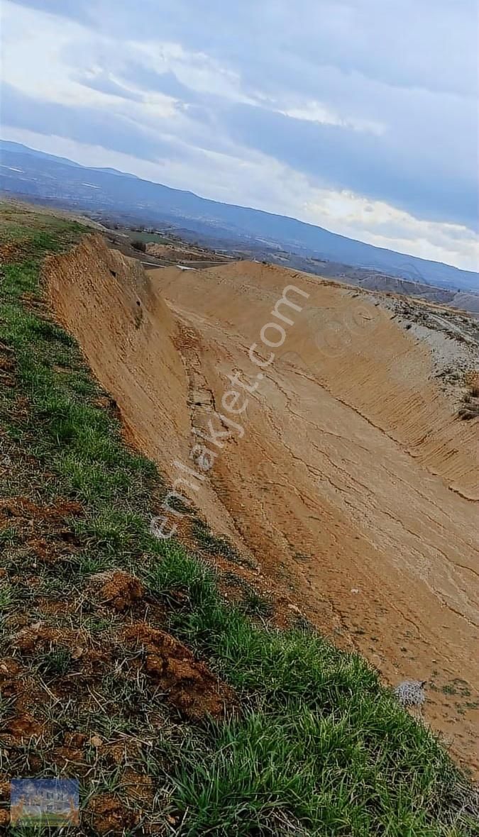Uşak Eşme Armutlu Köyü Nde 15392m2 Satılık Tarla - Görsel 9