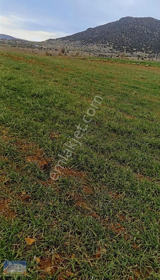 Uşak Eşme Armutlu Köyü Nde 15392m2 Satılık Tarla - Görsel 7