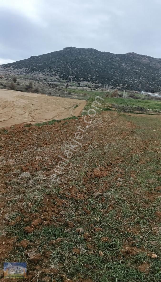 Uşak Eşme Armutlu Köyü Nde 15392m2 Satılık Tarla - Görsel 8