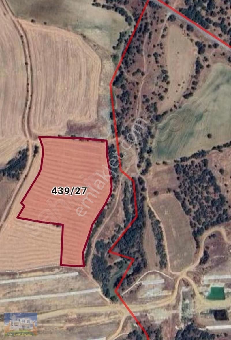 Uşak Eşme Armutlu Köyü Nde 15392m2 Satılık Tarla - Görsel 4