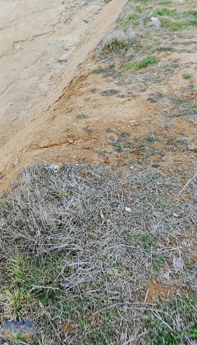 Uşak Eşme Armutlu Köyü Nde 15392m2 Satılık Tarla - Görsel 3