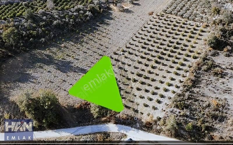 Han Emlak'tan Çevlik'te Köy İçi İmarlı 1065 M2 Satılık Tarla - Görsel 4