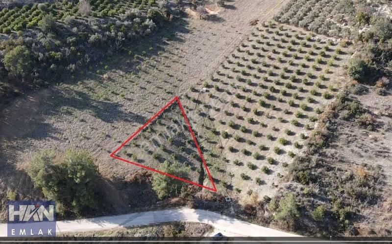 Han Emlak'tan Çevlik'te Köy İçi İmarlı 1065 M2 Satılık Tarla - Görsel 8
