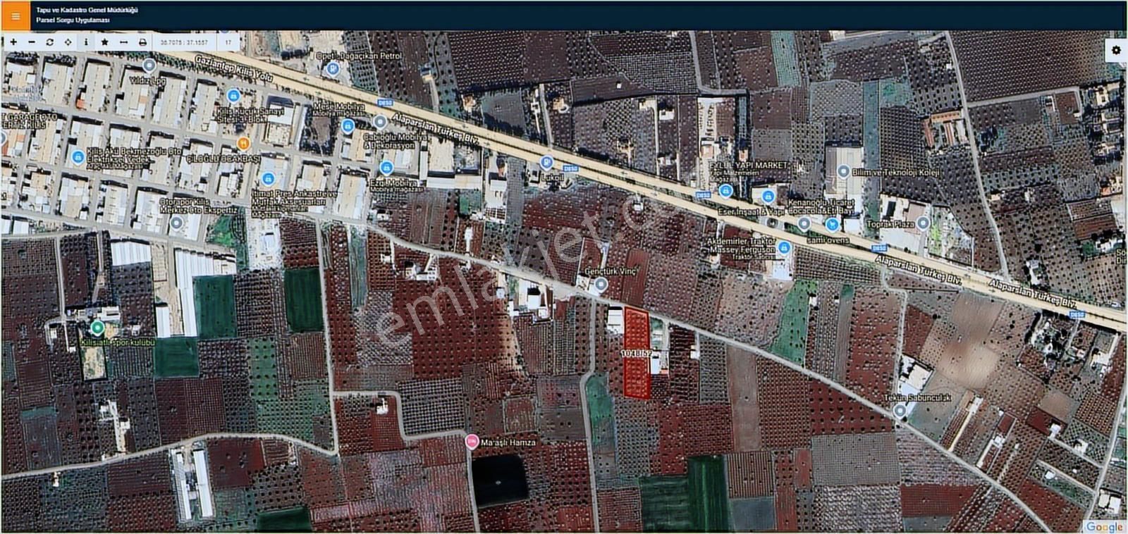 Hadi Gayrimenkulden Yol Üstü Mükemmel Konumda Yetişkin Fıstıklık - Görsel 4